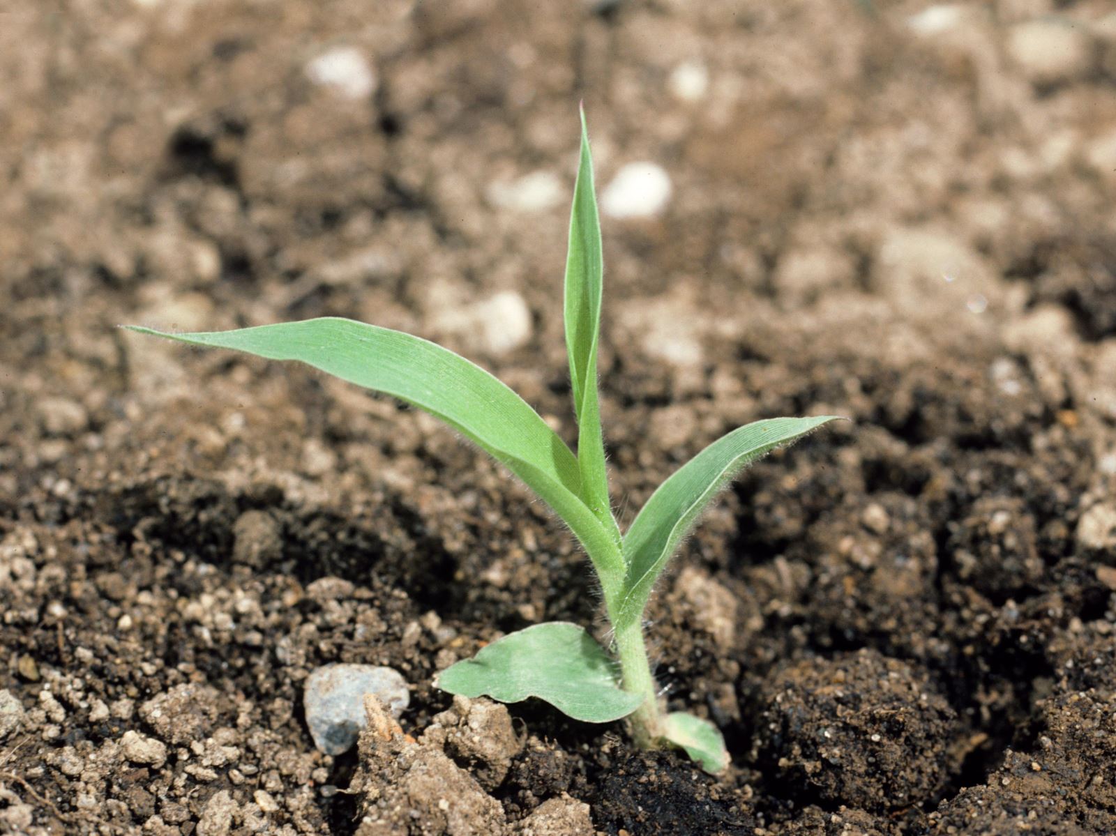 Image Agri-Réseau