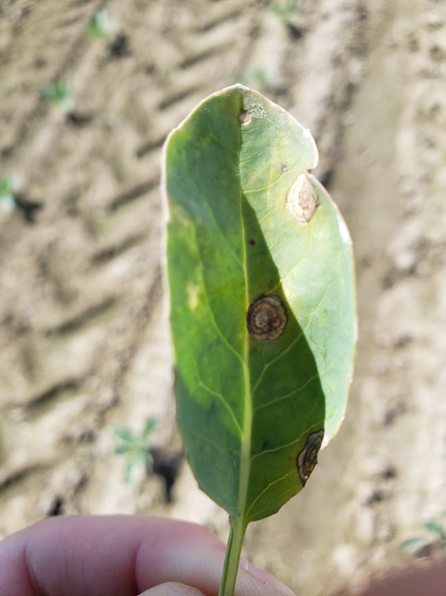 Image Agri-Réseau