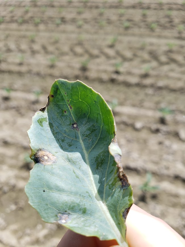 Image Agri-Réseau