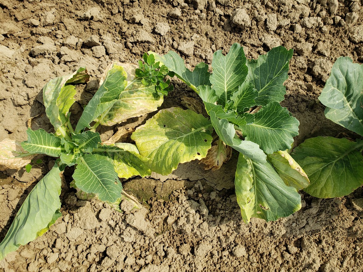 Image Agri-Réseau