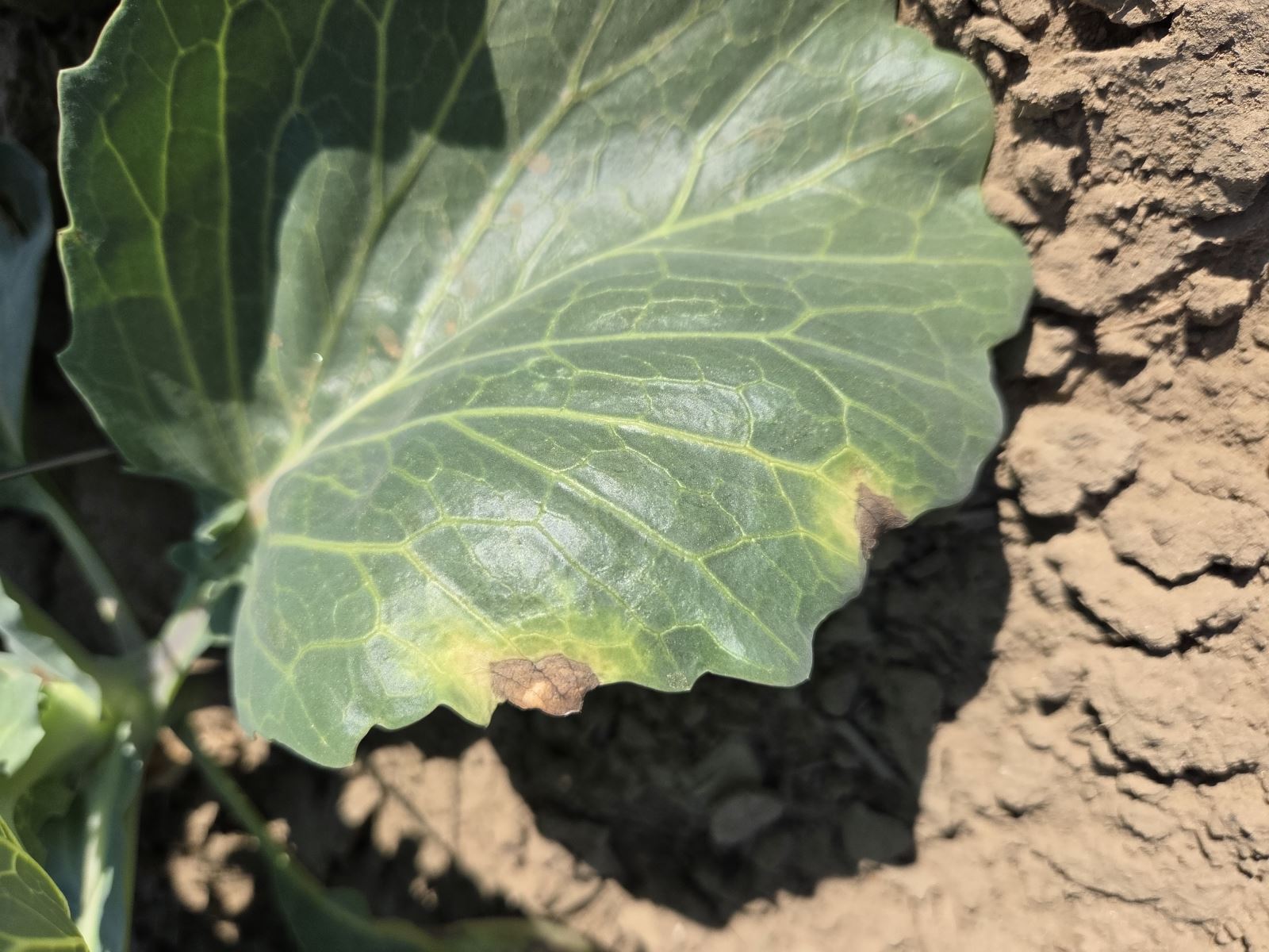 Image Agri-Réseau