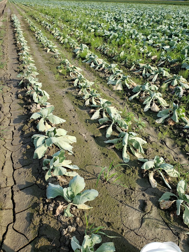 Image Agri-Réseau
