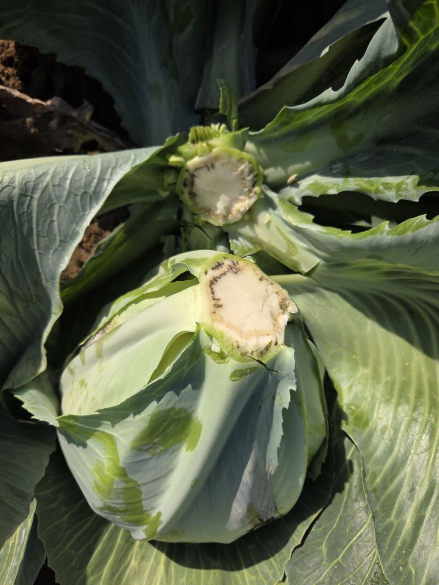 Image Agri-Réseau