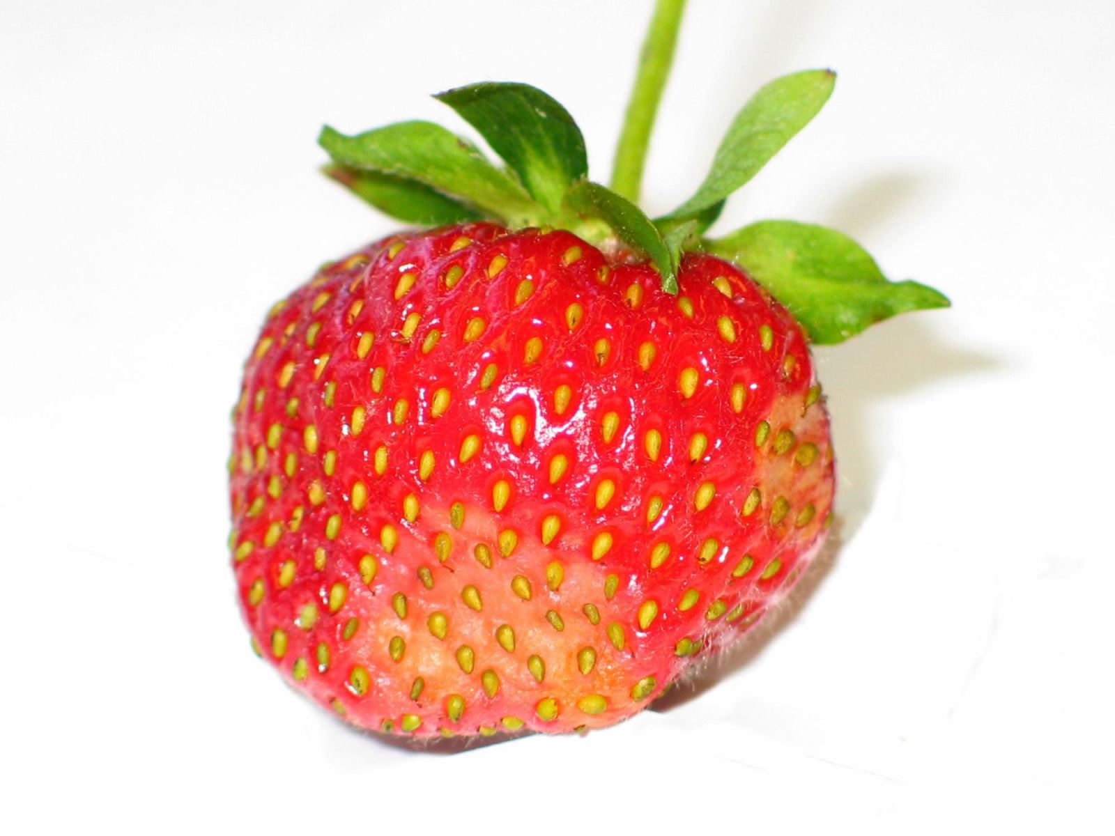 Image Agri-Réseau