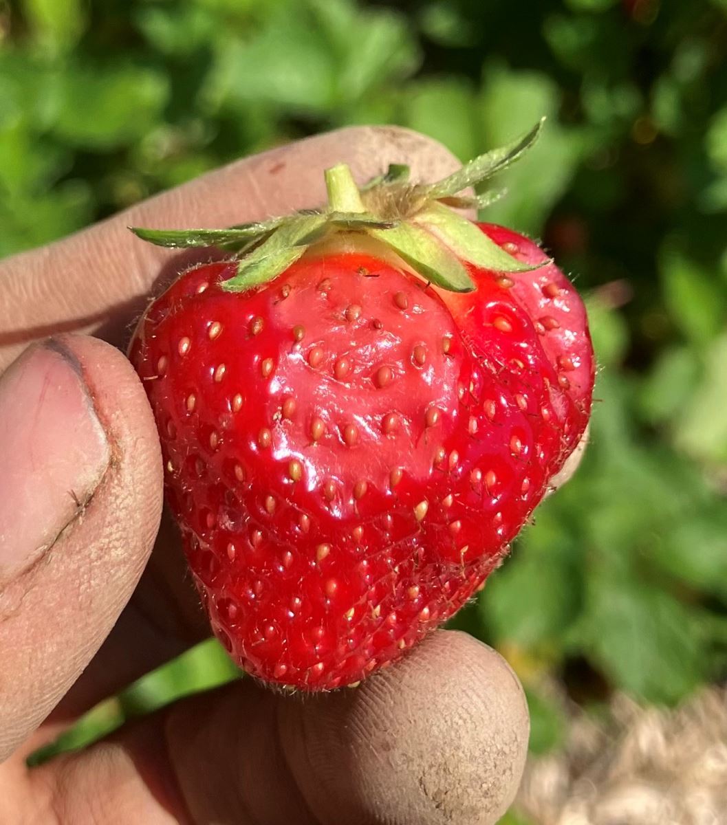 Image Agri-Réseau