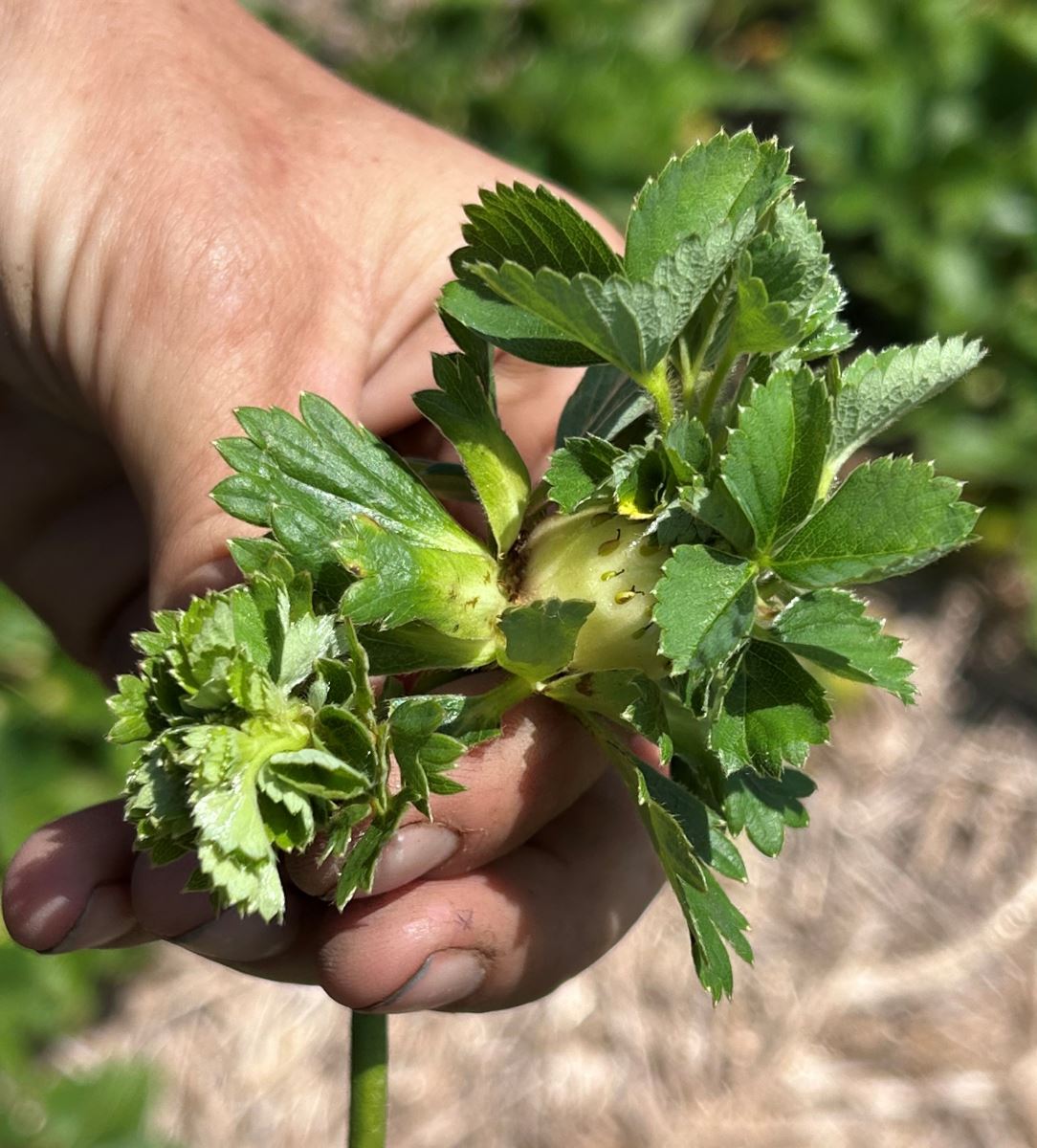 Image Agri-Réseau