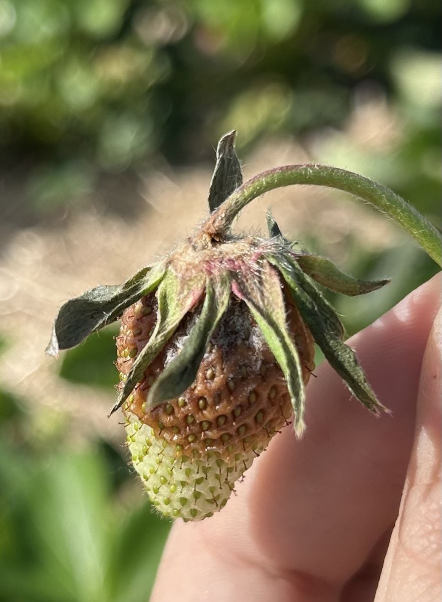 Image Agri-Réseau