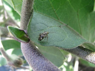 Image Agri-Réseau