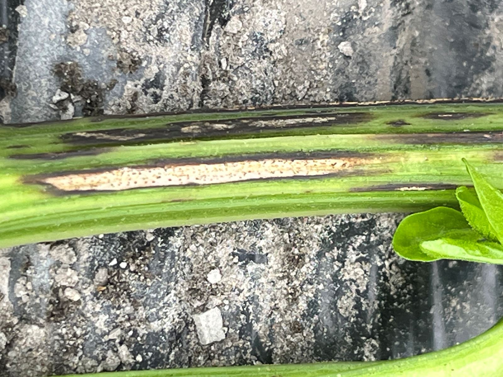 Image Agri-Réseau