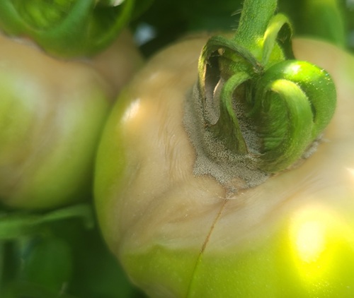 Image Agri-Réseau