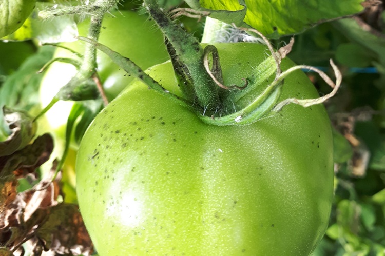 Image Agri-Réseau