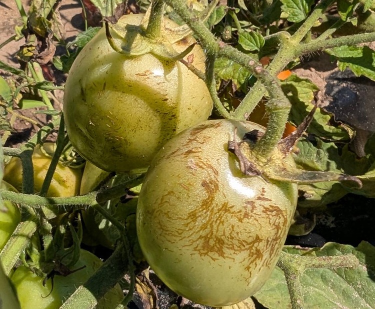 Image Agri-Réseau