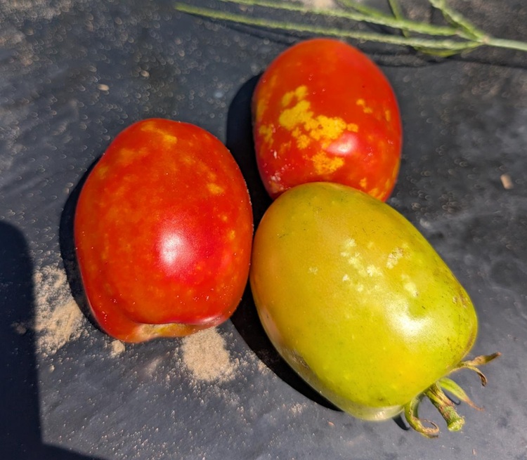 Image Agri-Réseau