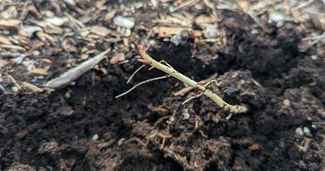 Image Agri-Réseau