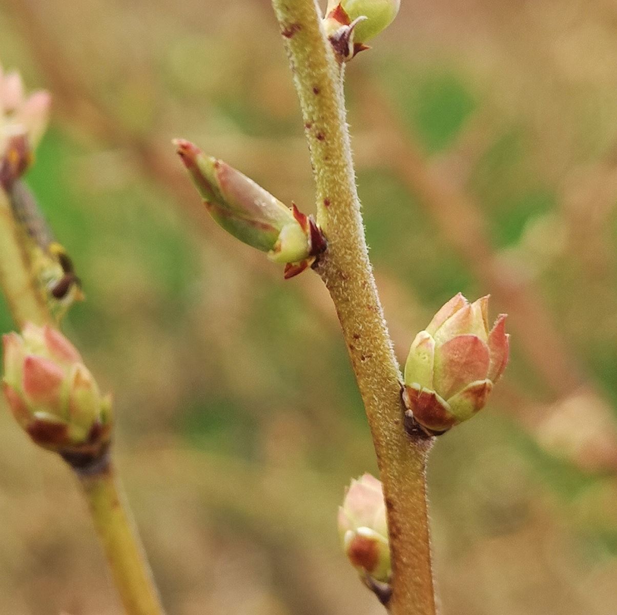 Image Agri-Réseau