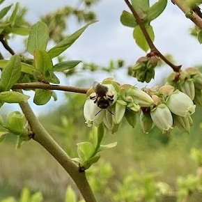 Image Agri-Réseau