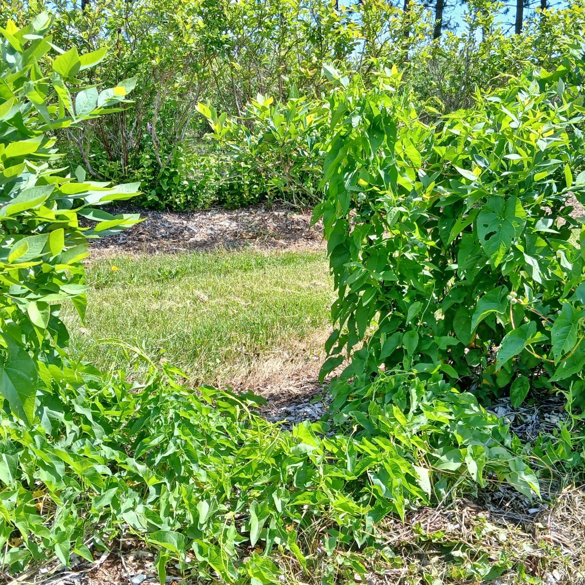 Image Agri-Réseau