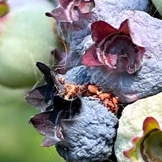 Image Agri-Réseau