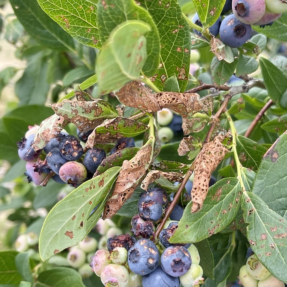 Image Agri-Réseau