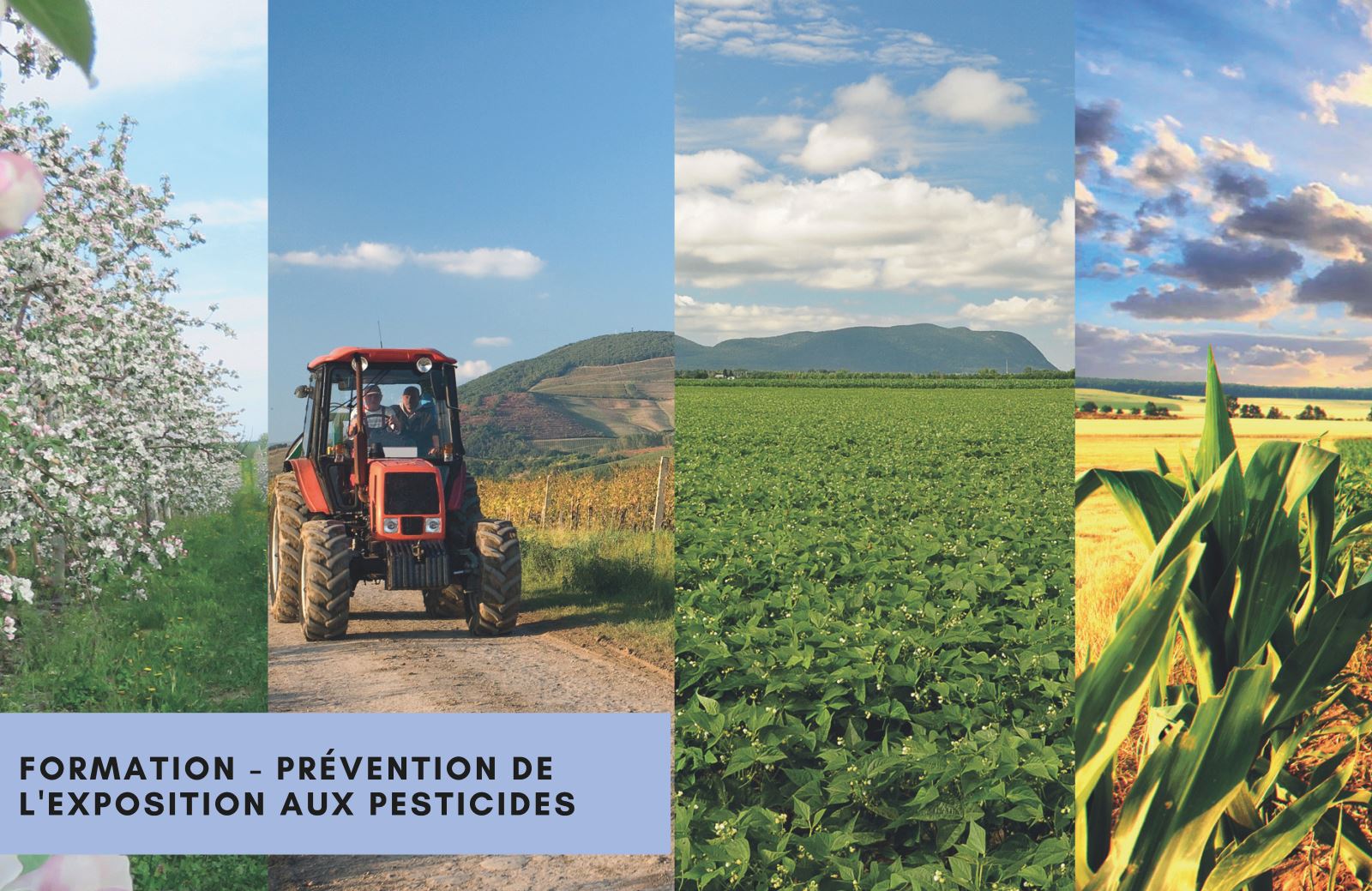 Formation - prévention exposition aux pesticides