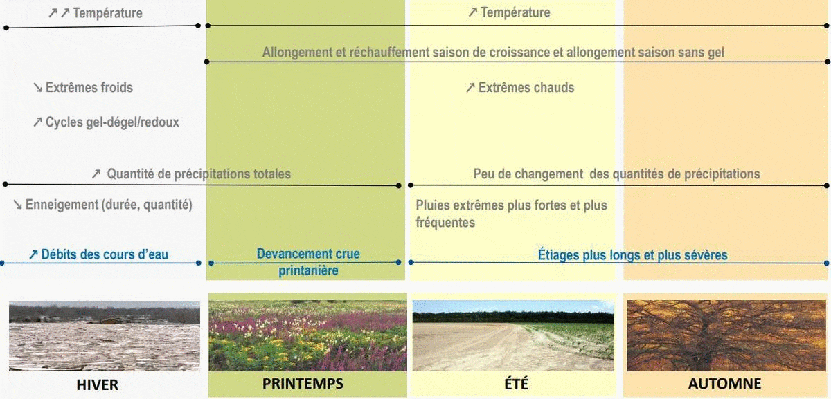 Image Agri-Réseau