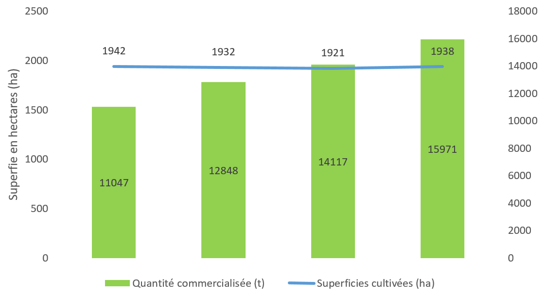 Évolution du nombre de superficies cultivées en fraises et de la quantité commercialisée de fraises de 2014 à 2017 