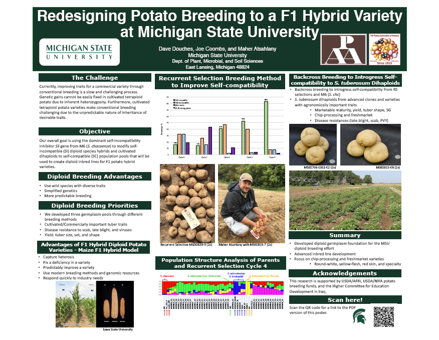 Transformation de la sélection des pommes de terre en une variété hybride F1 à la Michigan State University