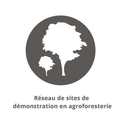 Réseau de sites de démonstration en agroforesterie