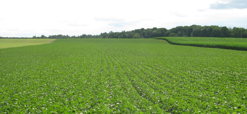 Image Agri-Réseau