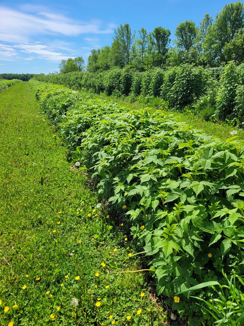 Image Agri-Réseau