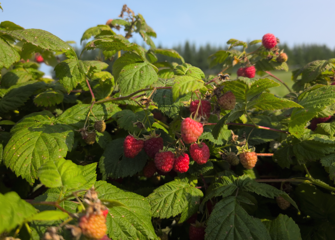 Image Agri-Réseau