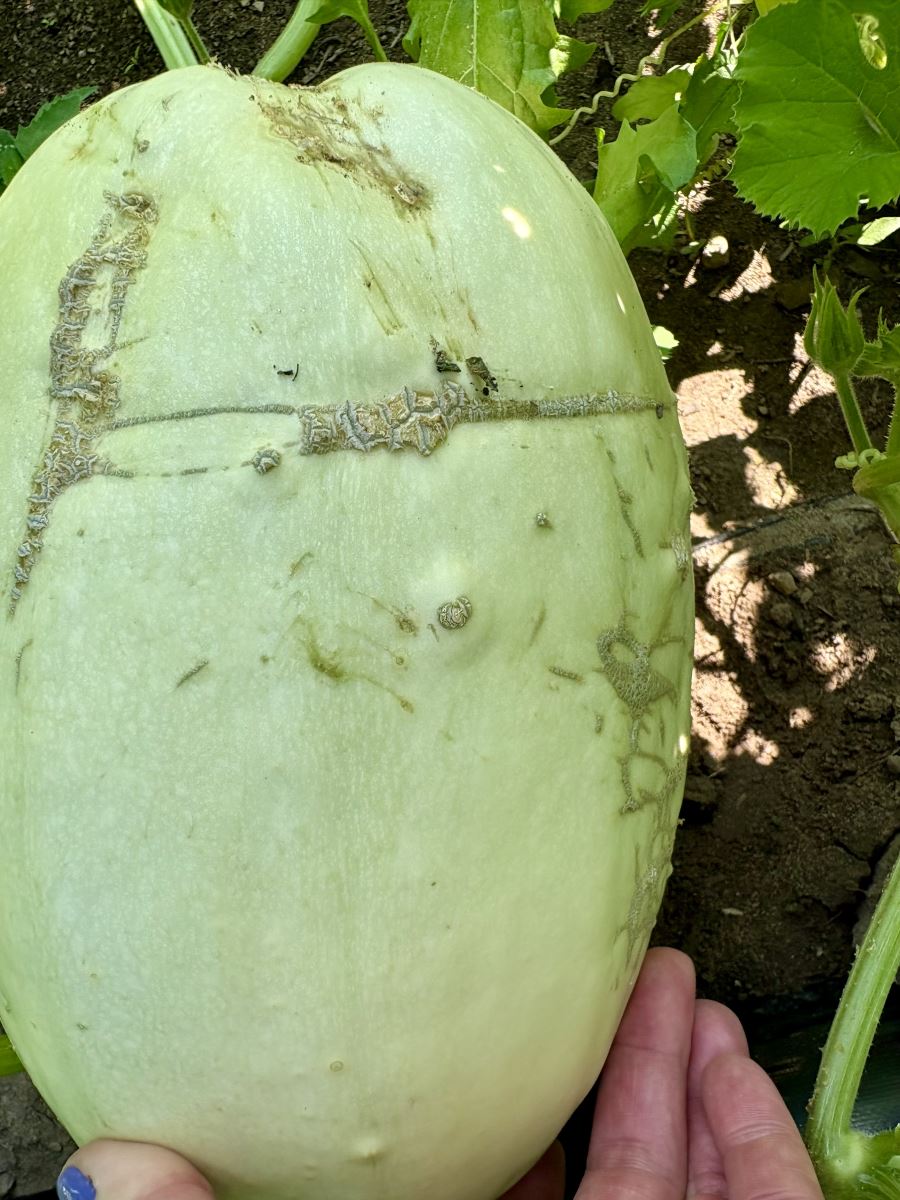 Image Agri-Réseau
