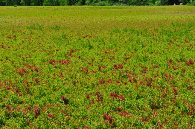 Image Agri-Réseau