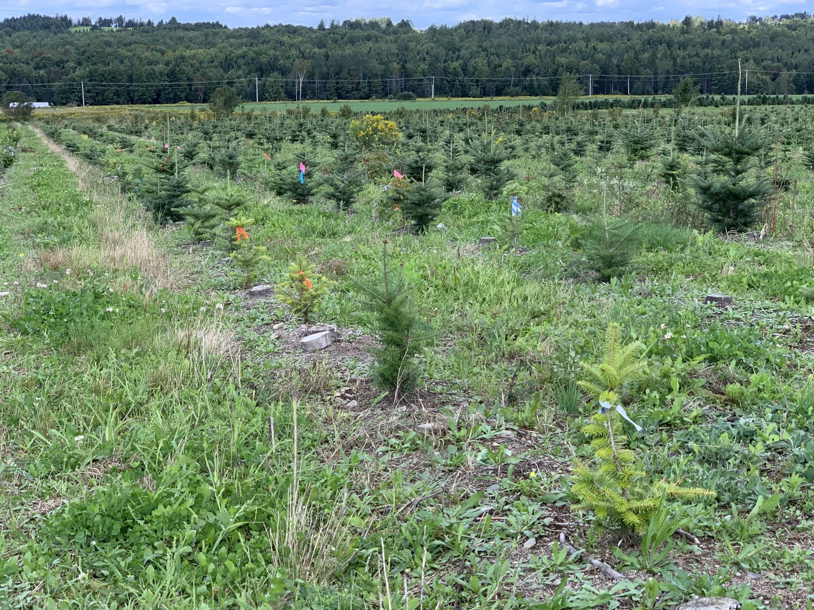 Image Agri-Réseau