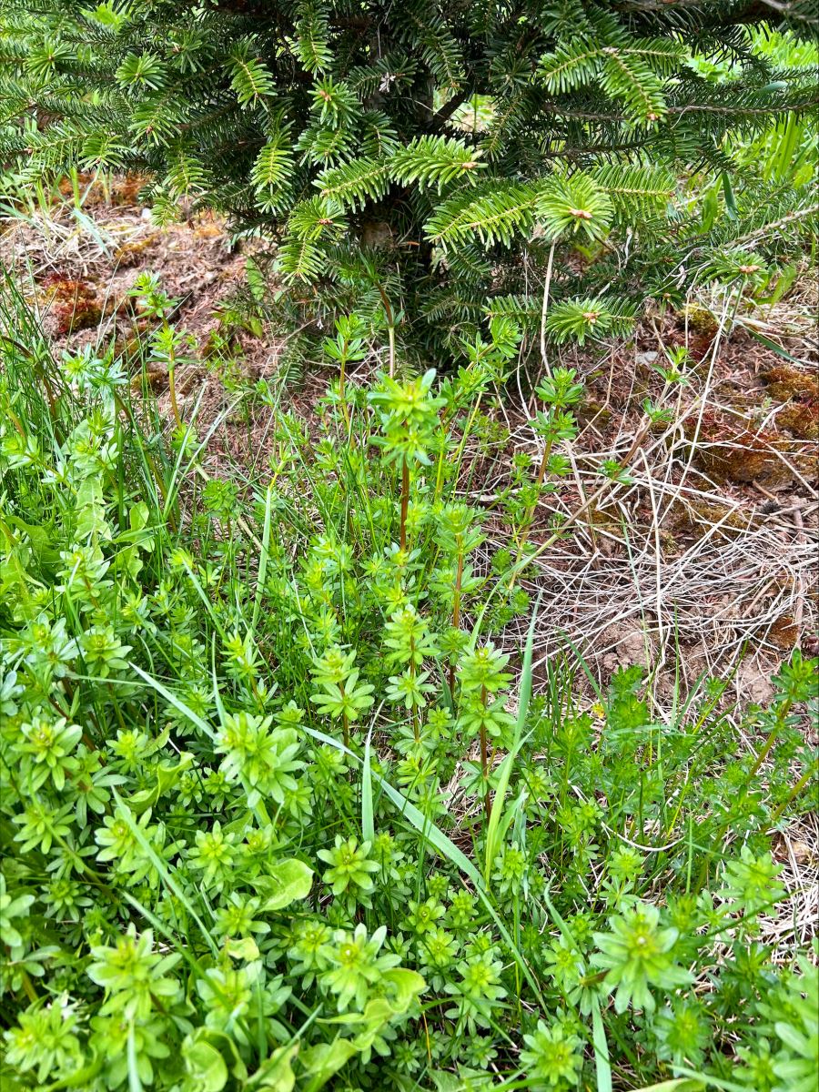 Image Agri-Réseau