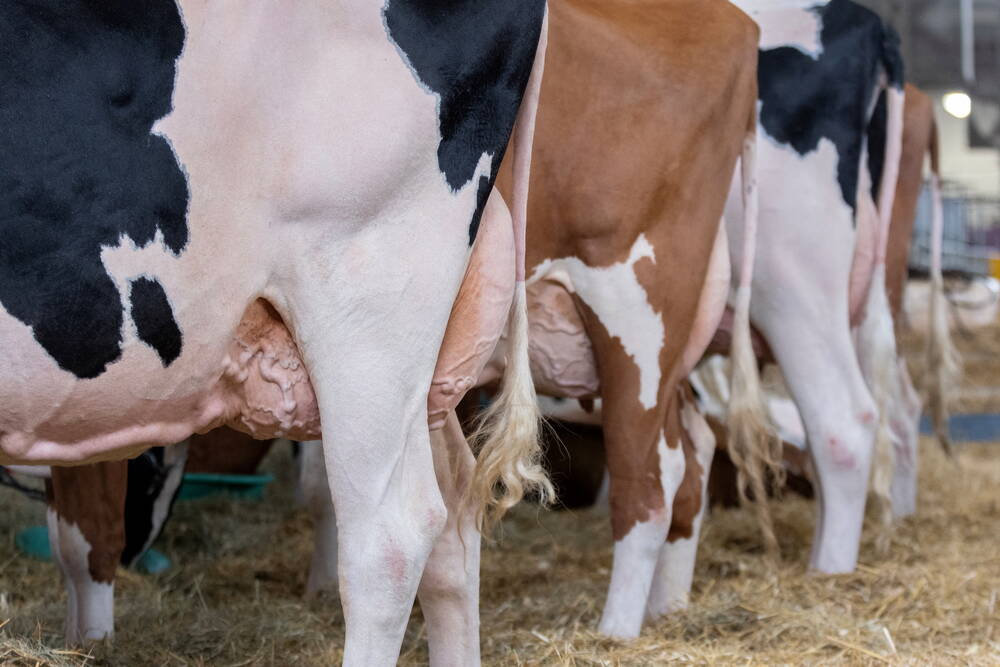 Le bilan carbone: l’outil pour une transition énergétique à la ferme
