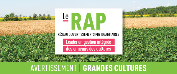 Réseau d'avertissements phytosanitaires Avertissement - Grandes cultures