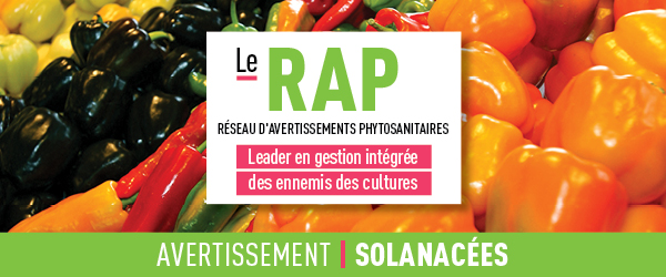 Réseau d'avertissements phytosanitaires Avertissement - Solanacées