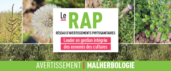 Réseau d'avertissements phytosanitaires Avertissement - Malherbologie