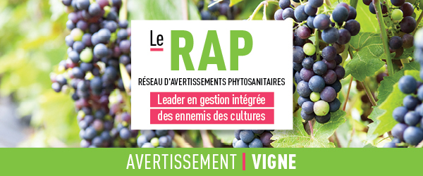 Réseau d'avertissements phytosanitaires Avertissement - Vigne