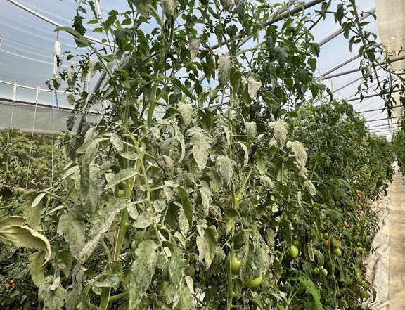 Image Agri-Réseau
