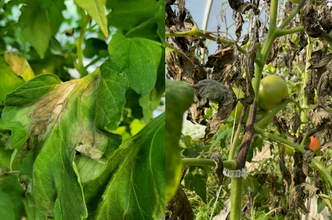 Image Agri-Réseau
