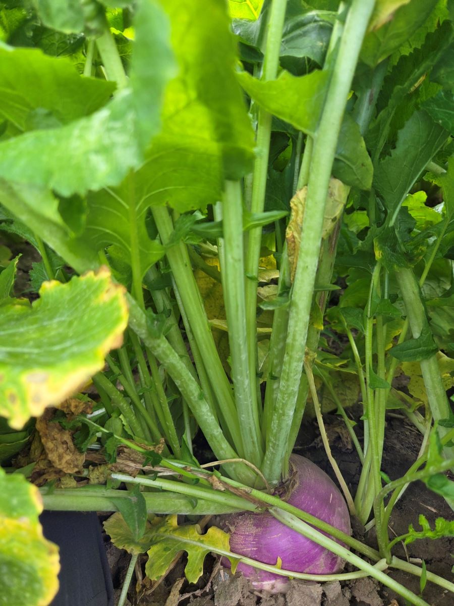 Image Agri-Réseau