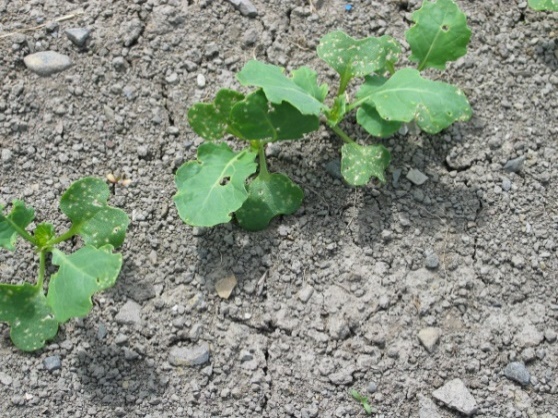 Image Agri-Réseau