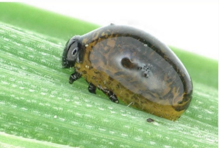 Image Agri-Réseau