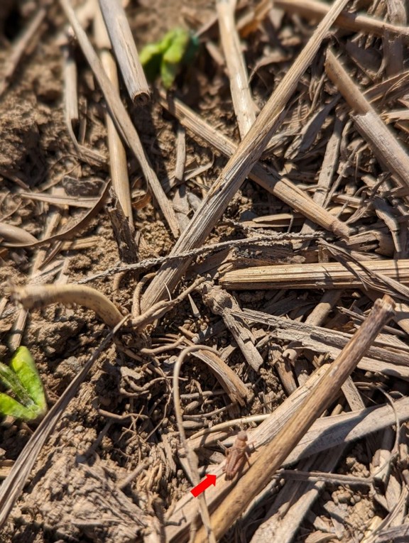 Image Agri-Réseau