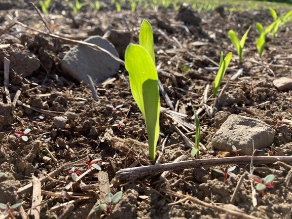 Image Agri-Réseau