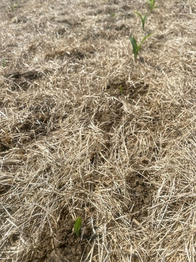 Image Agri-Réseau