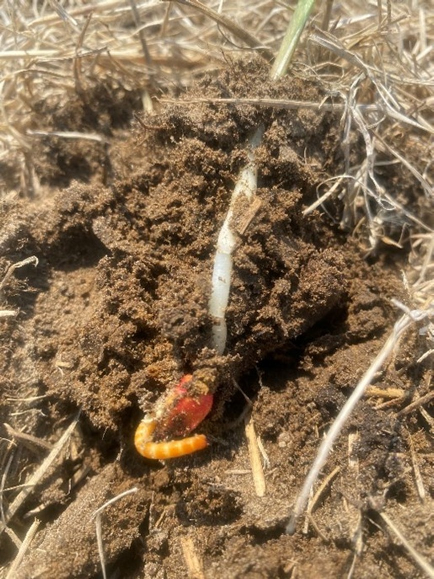 Image Agri-Réseau