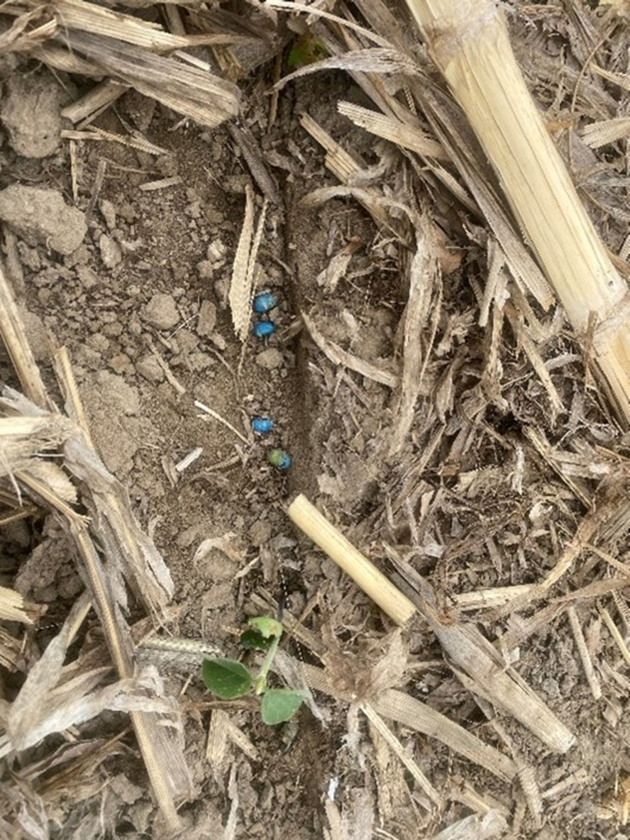 Image Agri-Réseau